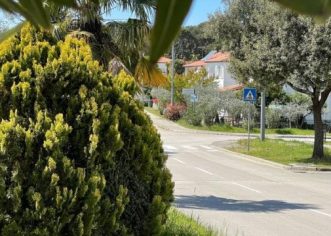 Zaštita bilja na javnim zelenim površina grada Poreča – Parenzo u periodu od 20.09. do 25.09. 2021