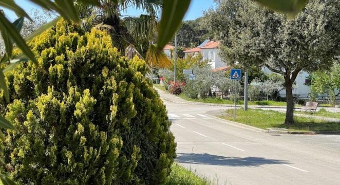 Zaštita bilja na javnim zelenim površina grada Poreča – Parenzo u periodu od 20.09. do 25.09. 2021