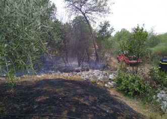Ugašen požar šume i niskog raslinja kod Labinci u srijedu – izgorjelo cca 2ha niskog raslinja i šume