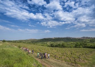 Istria Wine & Walk 09.10.2021.