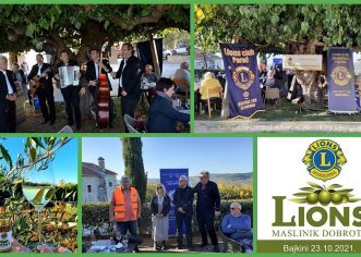 Lions Klub Poreč organizirao akciju branja maslina u „Masliniku dobrote“