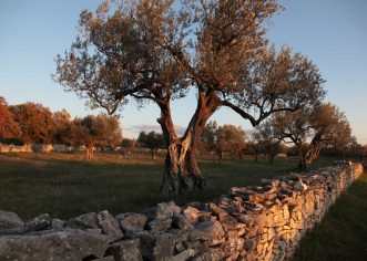 Istra ponovno u fokusu visokotiražnih medija