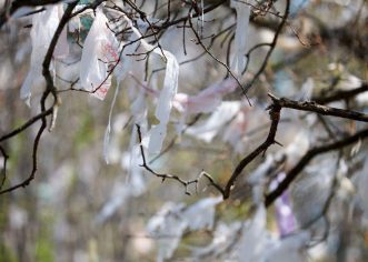 Zajedničko otvorenje 10. PHOTODISTORZIJE bit će u galeriji Zuccato u srijedu, 17. 11. u 19 sati