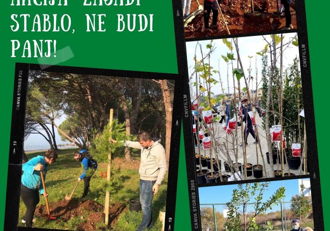 U petak, 19. studenog podjela sadnica stabala uz akciju “Zasadi stablo, ne budi panj”
