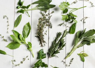 U Pučkom učilištu Poreč ZELENA RADIONICA – začinsko bilje u našim domovima i vrtovima