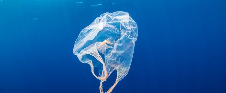 plastic-bag-pollution-fact-top