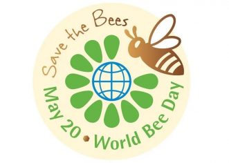 Uz Svjetski dan pčela – porečki pčelari o urbanom pčelinjaku, ovogodišnjoj sezoni i planovima za međunarodnu konferenciju o medu