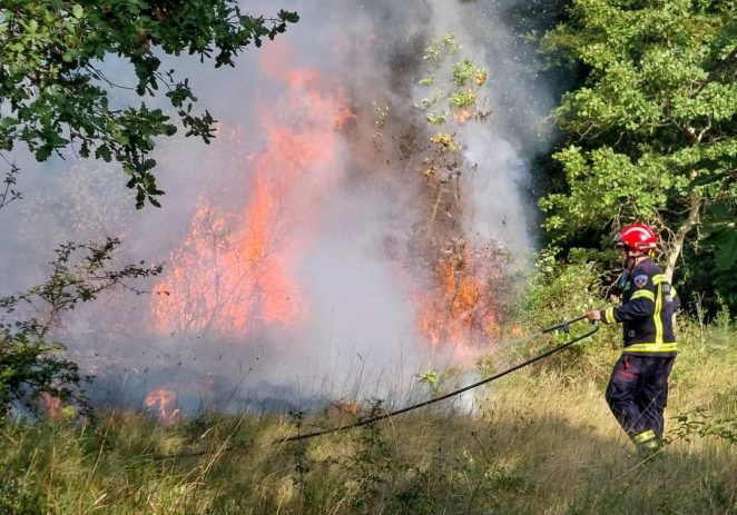 Požar između Cvitani i Radovani gasilo 38 vatrogasaca s 15 vatrogasnih vozila – izgorjelo 8 ha šume i niskog raslinja
