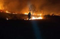 Požar Kod Heraki ugašen je jutros u 5:30 intervencijom 26 vatrogasca iz Poreča, Višnjana, Sv. Lovreča i Vižinade !