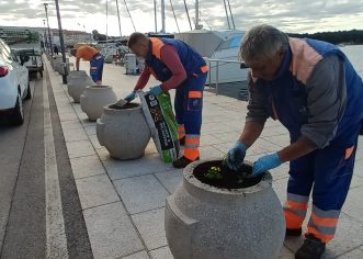 Kreće uređivanje cvjetnih gredica i korita te sadnja cvijeća na porečkim javnim zelenim površinama