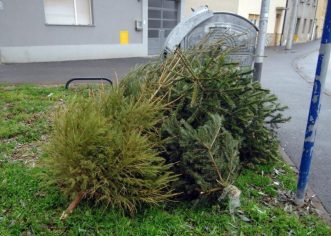 Besplatno zbrinjavanje božićnih drvca