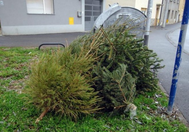 Besplatno zbrinjavanje božićnih drvca