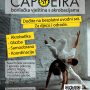 Capoeira Plakat USB Poreč