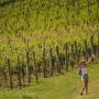 Istria Wine&Walk (3)
