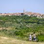 Istria Wine&Walk(2)