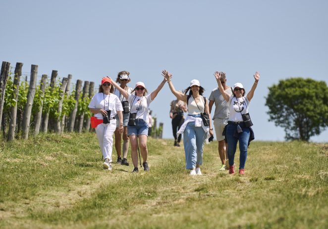 Osvježena ruta i ograničeni broj kotizacija najbolja su pozivnica za novi Istria Wine&Walk