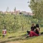 Istria Wine&Walk(5)