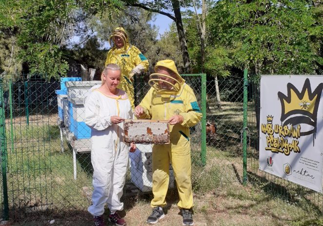 Bogata prva ovogodišnja berba u pčelinjaku postavljenom u porečkom naselju Mate Balota