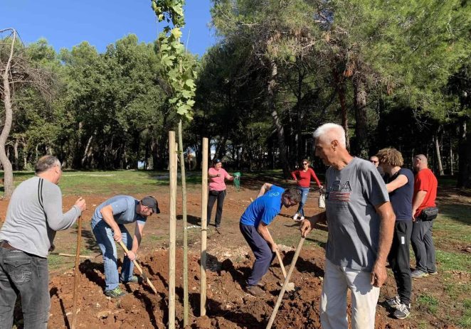 U Poreču će se posaditi 2.000 stabala i sadnica mediteranskog bilja