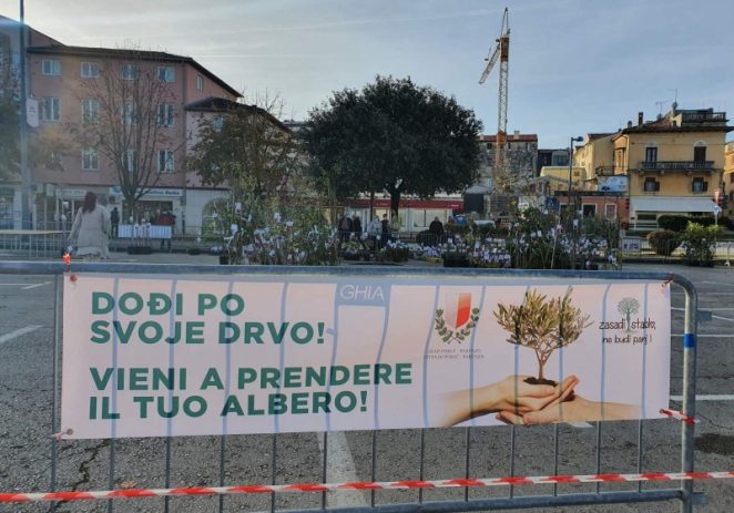 „Zasadi stablo ne budi panj“ i dođi u srijedu, 29. studenog 2023. godine od 9 sati na Veliko gradsko parkiralište po svoju sadnicu