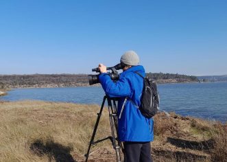 Natura Histrica organizira promatranje ptica na ušću Mirne ove subote, 16. ožujka