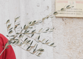 Cvjetnica i Veliki tjedan u našim katedralama