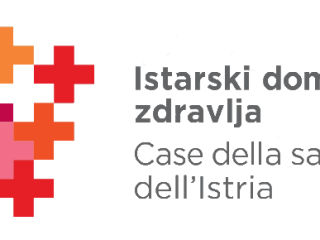 IDZ-logo