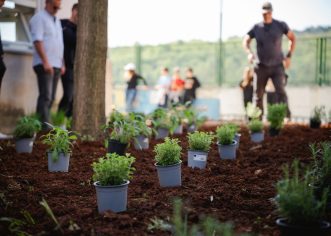 Projekt „Valamar brine za marende fine“: zaposlenici Valamara s osnovnoškolcima u Vižinadi zasadili aromatični vrt