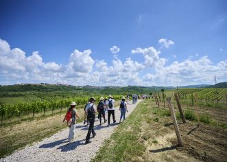 Istria Wine&Walk još jednom pružio nezaboravan doživljaj ljubiteljima vina i prirode