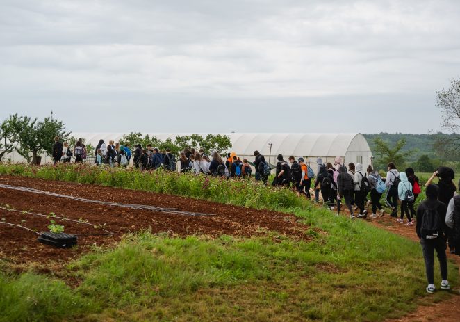 Učenici OŠ Ivo Lola Ribar posjetili su OPG Križmanić u okviru projekta „Valamar brine za marende fine“