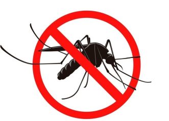 Novi termin dezinsekcije komaraca – možda ovaj puta bude nešto i izvan centra grada !?