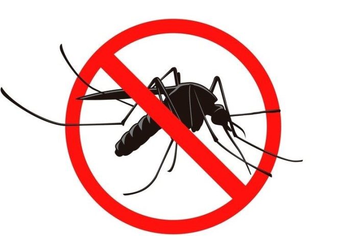 Od 8. do 10. srpnja najavljeno špricanje protiv komaraca na području Poreča