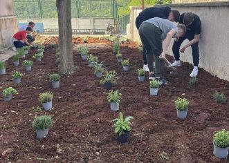 Učenici OŠ Jože Šurana Višnjan uspješno realizirali projekt “Veli Jože voli Domaćinstvo”