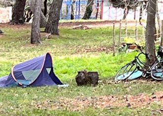Ponuda koja nema konkurencije : divlje kampiranje u  PRIRODI !