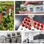 50. Laboratorij za fenotipizaciju-min
