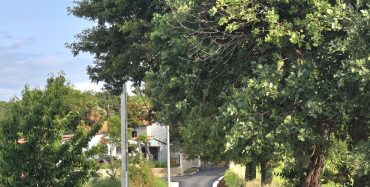 Nastavljaju se asfaltiranja po mjesnim odborima i sanacije ulica u gradu