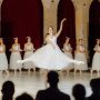 Giselle_Vižinada-340