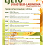 Untitled design (5)