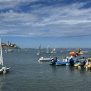 Održana tradicionalna jedriličarska regata Otvoreno prvenstvo Grada Poreča