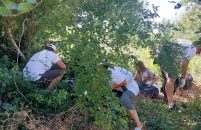 Grad Poreč organizirao akciju čišćenja rekreativne staze Maximus Agri u sklopu akcije ‘Od izvora do mora’