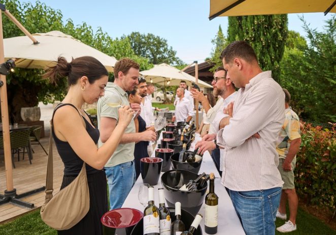 Vinarije s područja Vižinade oduševile Decanterove vinske stručnjake