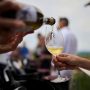 Vinarije s područja Vižinade oduševile Decanterove vinske stručnjake8_foto_Melo de Graia,_arhiva Vinistra