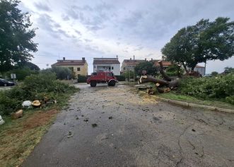 Porečki vatrogasci gasili i požar zbog udara groma u dalekovod kod Jehnići