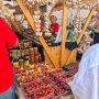 Festival češnjaka Poreč (2)