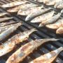 Ribarska feþta u ¼ervar Portu