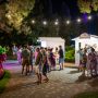 Summer Wine Park Festival (3)
