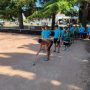 učenje različitih sportova