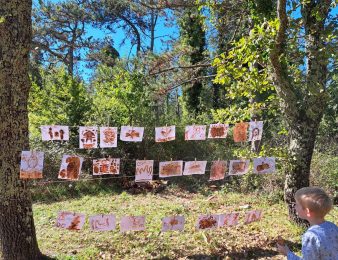 Jesen u Kontiji – od šumskih priča, art terapije do gljivarskog kotlića