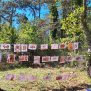Jesen u Kontiji – od šumskih priča, art terapije do gljivarskog kotlića