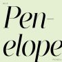 Nit Penelope